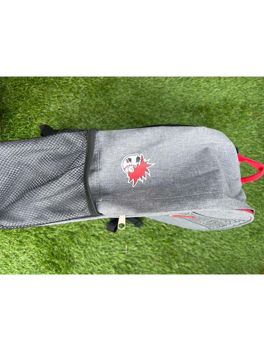 Cincinnati Reds Heads Gray and Red Backpack